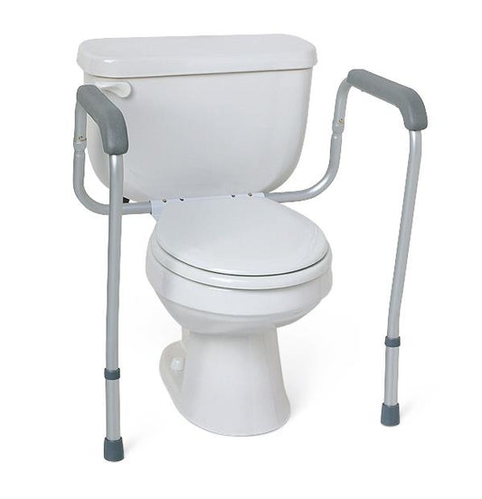 Toilet Safety Rails